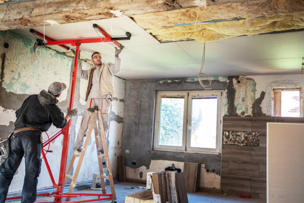Best Eco-Friendly Insulation in Andalusia, IL